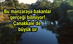 Bu manzaraya bakanlar gerçeği bilmiyor! Çanakkale’de büyük sır
