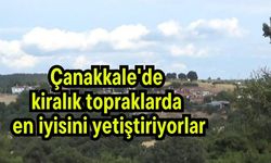 Çanakkale'de kiralık topraklarda en iyisini yetiştiriyorlar (Video)