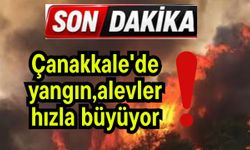Çanakkale'de yangın, alevler hızla büyüyor!