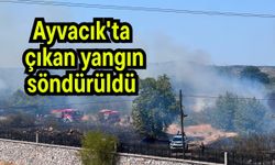 Ayvacık'ta çıkan yangın söndürüldü (Video)