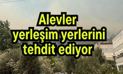 Alevler yerleşim yerlerini tehdit ediyor (Video)