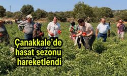 Çanakkale’de hasat sezonu hareketlendi