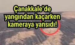 Çanakkale'de yangından kaçarken kameraya yansıdı! (Video)