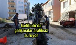 Gelibolu’da çalışmalar aralıksız sürüyor