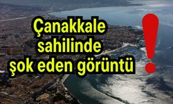 Çanakkale sahilinde şok eden görüntü!