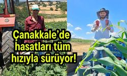 Çanakkale’de hasatları tüm hızıyla sürüyor!