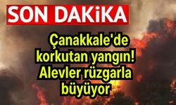 Çanakkale'de korkutan yangın! Alevler rüzgarla büyüyor