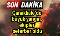 Çanakkale'de yangın, ekipler seferber oldu