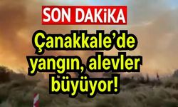 Çanakkale’de yangın, alevler büyüyor!