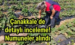 Çanakkale’de detaylı inceleme! Numuneler alındı