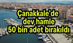 Çanakkale'de 50 bin adet bırakıldı