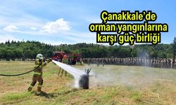 Çanakkale’de orman yangınlarına karşı güç birliği