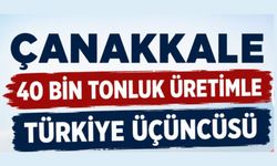 Çanakkale 40 bin tonluk üretimle Türkiye üçüncüsü