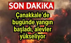 Çanakkale’de bugünde yangın başladı, alevler yükseliyor
