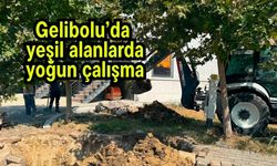 Gelibolu’da yeşil alanlarda yoğun çalışma