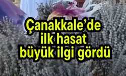 Çanakkale’de ilk hasat büyük ilgi gördü