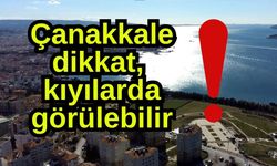 Çanakkale dikkat, kıyılarda görülebilir!