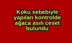 Koku sebebiyle yapılan kontrolde ağaca asılı ceset bulundu