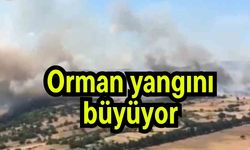 Orman yangını büyüyor