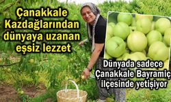 Çanakkale Kazdağlarından dünyaya uzanan eşsiz lezzet