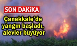 Çanakkale’de yangın başladı, alevler büyüyor