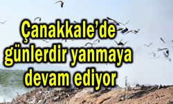 Çanakkale’de günlerdir yanmaya devam ediyor