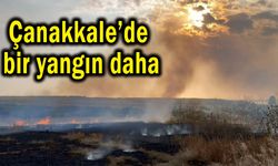 Çanakkale’de bir yangın daha çıktı