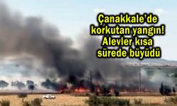 Çanakkale’de alevler kısa sürede büyüdü (Video)