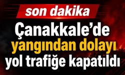 Çanakkale’de yangından dolayı yol trafiğe kapatıldı