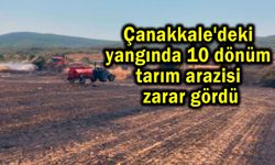 Çanakkale'de 10 dönüm tarım arazisi zarar gördü