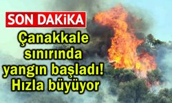 Çanakkale sınırında yangın başladı! Hızla büyüyor