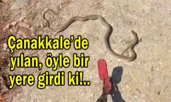 Çanakkale’de yılan, öyle bir yere girdi ki!