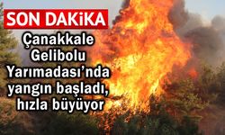 Çanakkale Gelibolu Yarımadası’nda yangın başladı