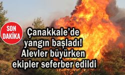 Çanakkale’de yangın başladı! Alevler büyüyor