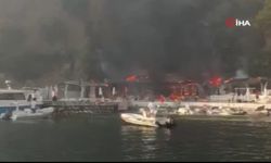 Plajda yangın paniği (Video)
