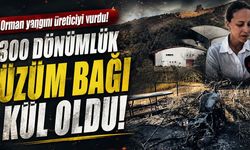 Orman yangını üreticiyi vurdu! (Video)