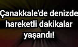 Çanakkale'de denizde hareketli dakikalar yaşandı!