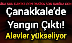 Çanakkale’de Yangın Çıktı! Alevler yükseliyor