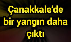 Çanakkale’de bir yangın daha çıktı