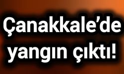 Çanakkale’de yangın çıktı!
