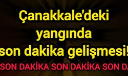 Çanakkale'deki yangında son dakika gelişmesi!