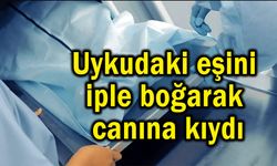 Uykudaki eşini iple boğarak canına kıydı