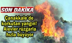 Çanakkale’de korkutan yangın! Alevler hızla büyüyor