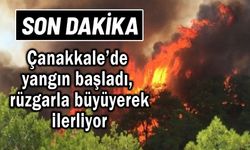 Çanakkale’de yangın başladı, rüzgarla büyüyerek ilerliyor