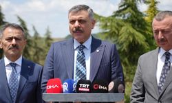 Yıl sonuna kadar tüm sokak hayvanlarını barınaklara alınacak (Video)
