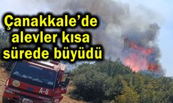 Çanakkale’de alevler kısa sürede büyüdü! (Video)