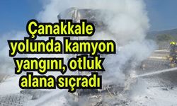 Çanakkale yolunda kamyon yangını, otluk alana sıçradı