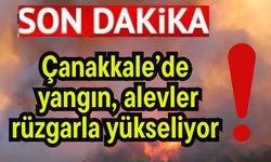 Çanakkale’de yangın, alevler rüzgarla yükseliyor!
