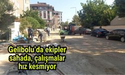 Gelibolu’da ekipler sahada, çalışmalar hız kesmiyor