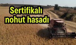 Sertifikalı nohut hasadı (Video)